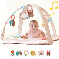 Baby Play Gym & Activity Mat(Blush Bloom)