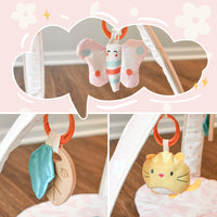 Baby Play Gym & Activity Mat(Blush Bloom)