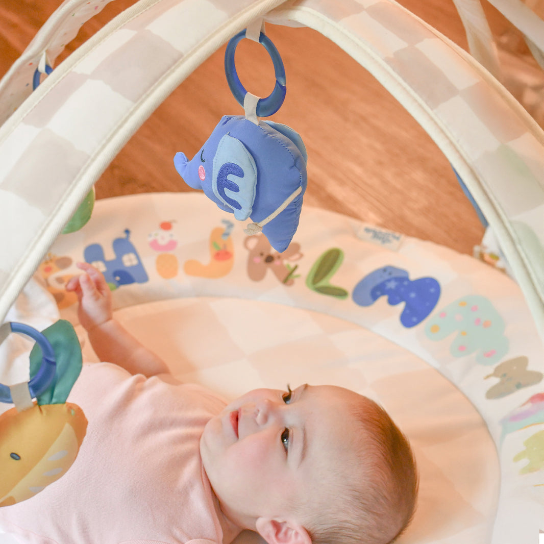 Baby Play Gym & Activity Mat(Sand Checks)
